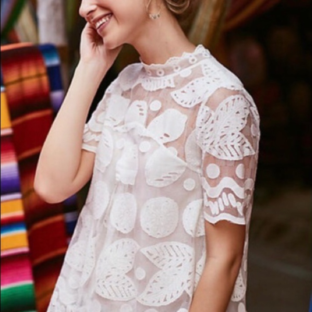 Anthropologie Lace Bloouse